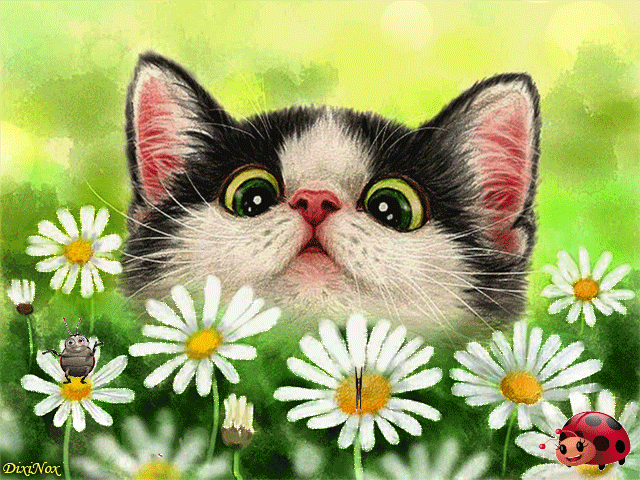 Кот в ромашках~Анимационные блестящие открытки GIF