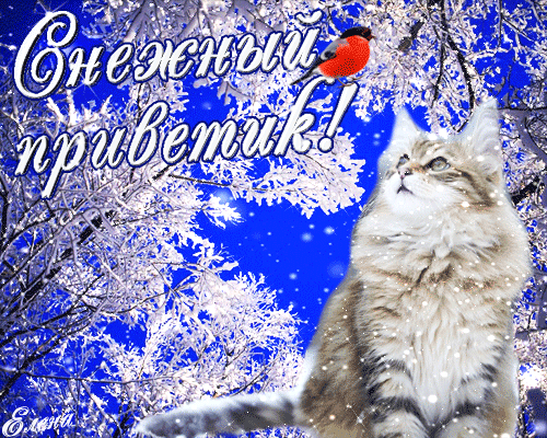 Снежный приветик~Анимационные блестящие открытки GIF