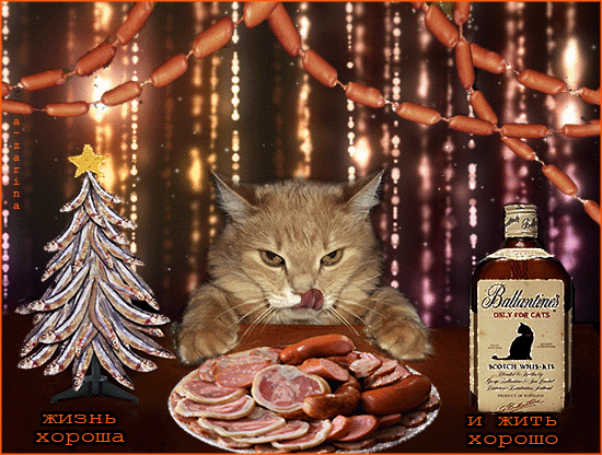 Праздничный ужин для любимого котика - Кошки открытки и картинки
