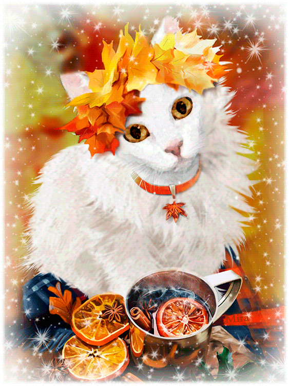 Белая кошка~Анимационные блестящие открытки GIF