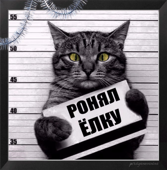Кот преступник картинки~Анимационные блестящие открытки GIF