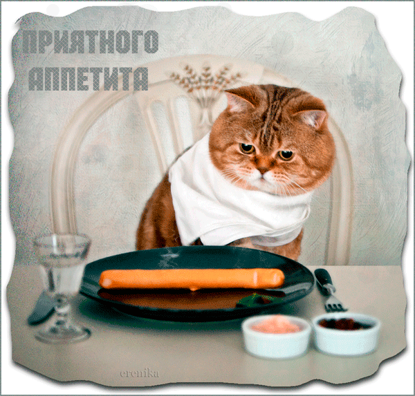 Приятного аппетита, котик~Анимационные блестящие открытки GIF