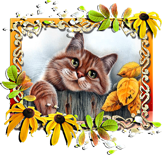 Кот на заборе - Кошки открытки и картинки