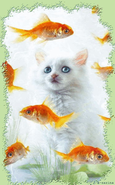 Кот и  золотые рыбки~Анимационные блестящие открытки GIF