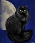 Лунный кот - Кошки открытки и картинки