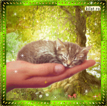 котенок на ладони~Анимационные блестящие открытки GIF