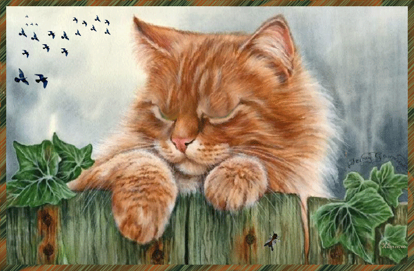 Котик~Анимационные блестящие открытки GIF