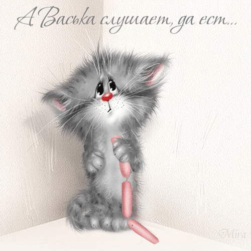 Кот с сосиськами~Анимационные блестящие открытки GIF