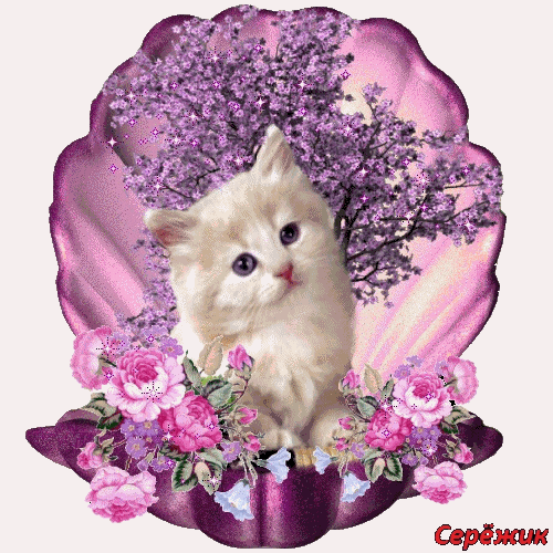 Кошечка с розовыми цветами~Анимационные блестящие открытки GIF