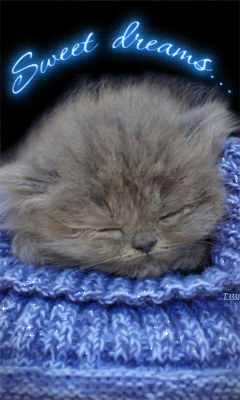 Спящий пушистый котенок~Анимационные блестящие открытки GIF