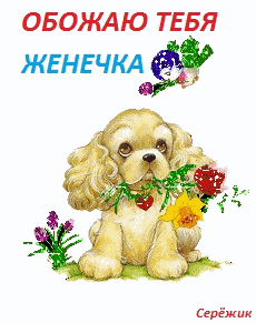 Собачка с цветочком~Анимационные блестящие открытки GIF