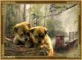 Анимация домашние животные - Собачки открытки и картинки