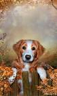 Пес и осень - Собачки открытки и картинки