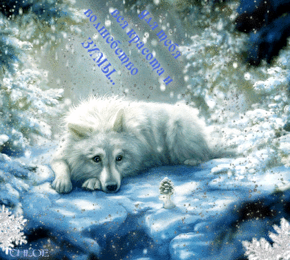 Важный белый волк - Собачки открытки и картинки