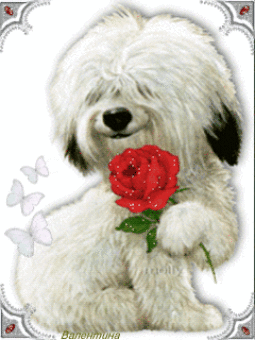 собачка с розой~Анимационные блестящие открытки GIF