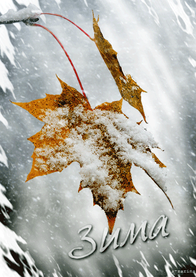 Зима пришла - Зима открытки и картинки
