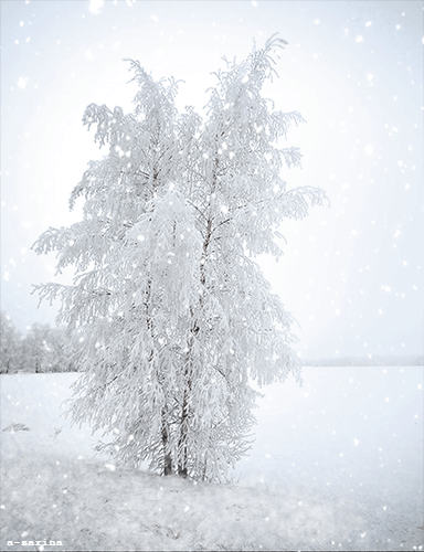 А снег идёт...~Анимационные блестящие открытки GIF