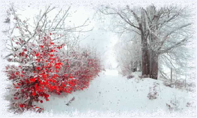 Заснеженные кусты и снегопад~Анимационные блестящие открытки GIF