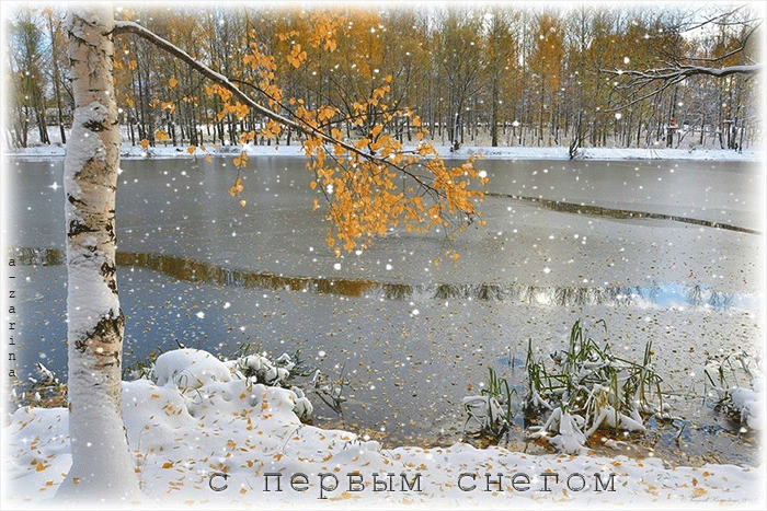 первый снег~Анимационные блестящие открытки GIF