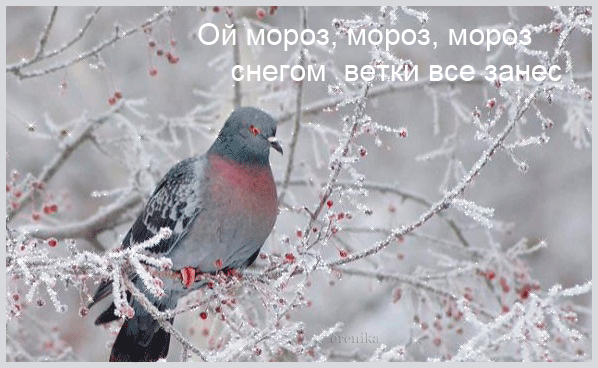 Ой, мороз, мороз...~Анимационные блестящие открытки GIF