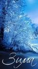 Снежный зимний лес - Зима открытки и картинки