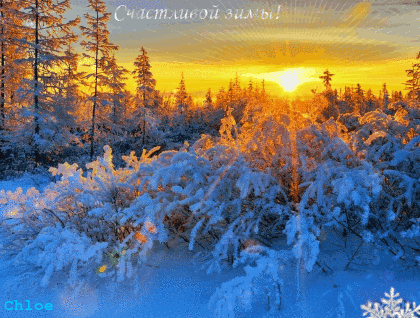 Закат в лесу~Анимационные блестящие открытки GIF