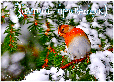 Зимний приветик!~Анимационные блестящие открытки GIF