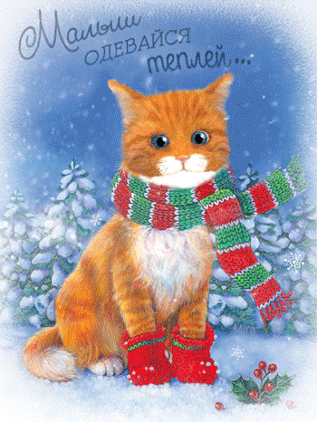 Рыжий котик в шарфике - Зима открытки и картинки