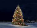 Сверкающая елка - Зима открытки и картинки