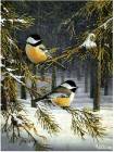 Синицы в зимнем лесу - Зима открытки и картинки