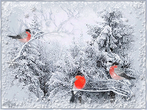 Снегири~Анимационные блестящие открытки GIF