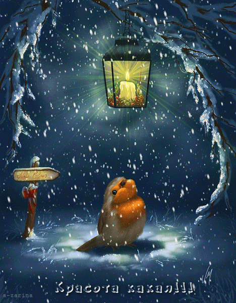 Птичка на лесной полянке зимой~Анимационные блестящие открытки GIF