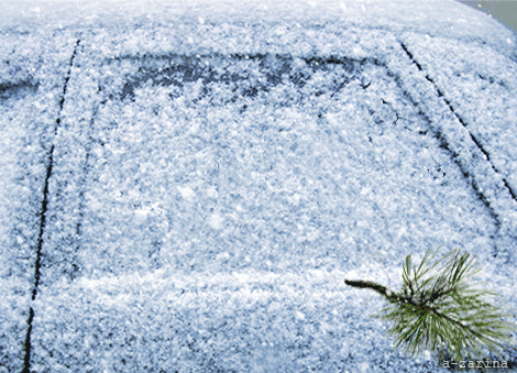 На дворе уже зима~Анимационные блестящие открытки GIF