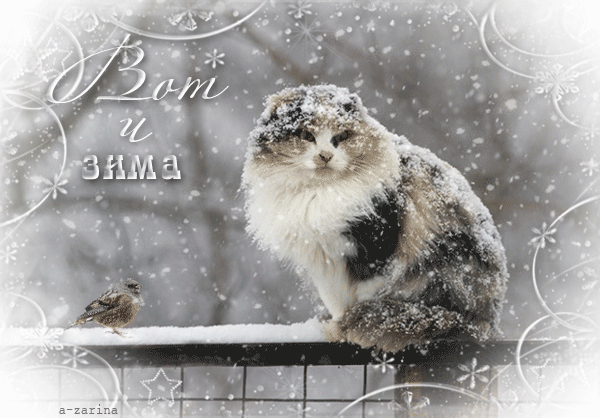 Вот и зима!~Анимационные блестящие открытки GIF