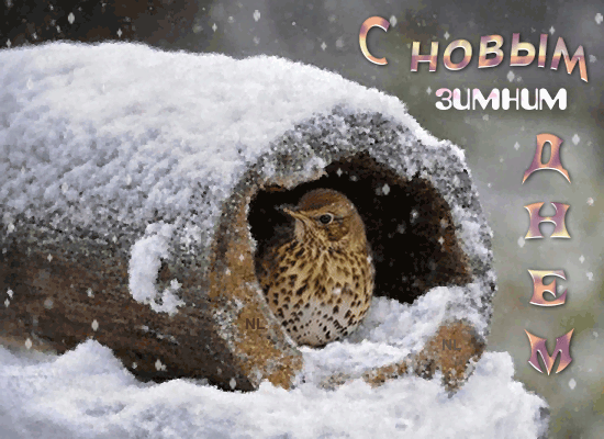 С новым зимни днем~Анимационные блестящие открытки GIF