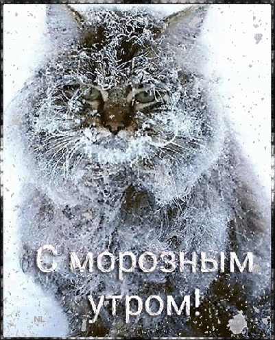 С морозным утром~Анимационные блестящие открытки GIF