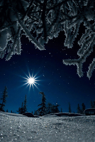 Сказочная зимняя ночь~Анимационные блестящие открытки GIF