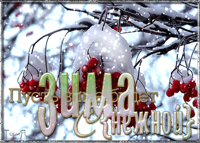 Снежной зимы~Анимационные блестящие открытки GIF