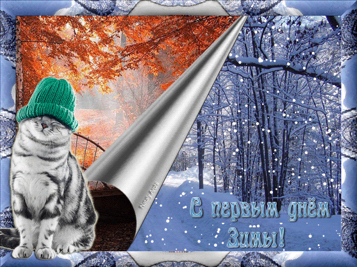 С первым днем зимы~Анимационные блестящие открытки GIF