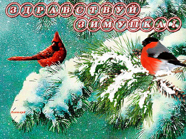 Здравствуй зимушка~Анимационные блестящие открытки GIF