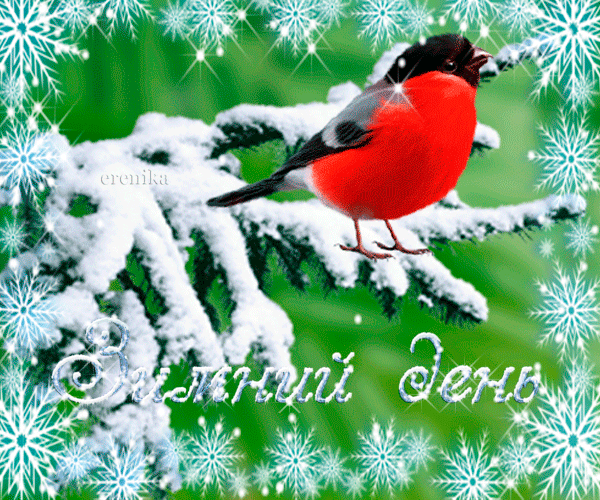 Зимний день~Анимационные блестящие открытки GIF