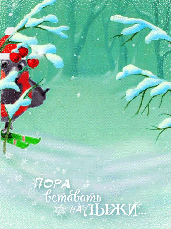 Пора вставать на лыжи~Анимационные блестящие открытки GIF