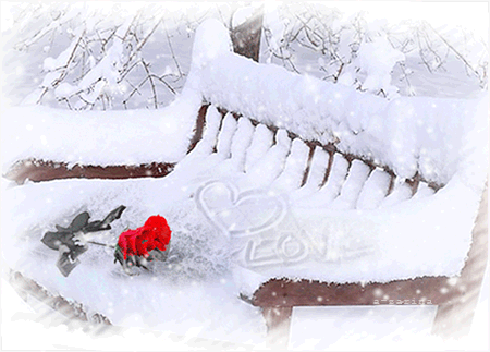 Роза на скамейке~Анимационные блестящие открытки GIF