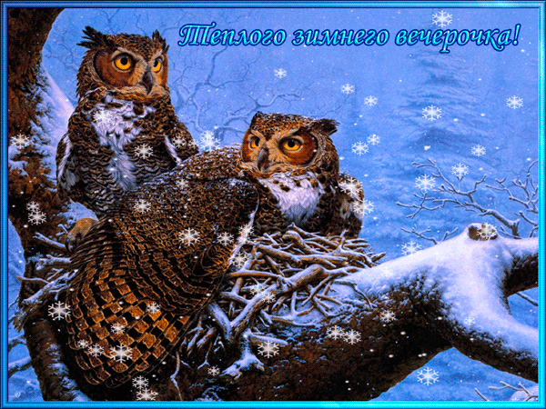 Тёплого зимнего вечерочка~Анимационные блестящие открытки GIF