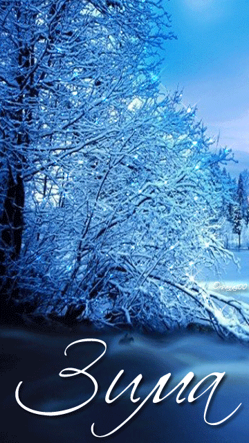 Снежный зимний лес~Анимационные блестящие открытки GIF