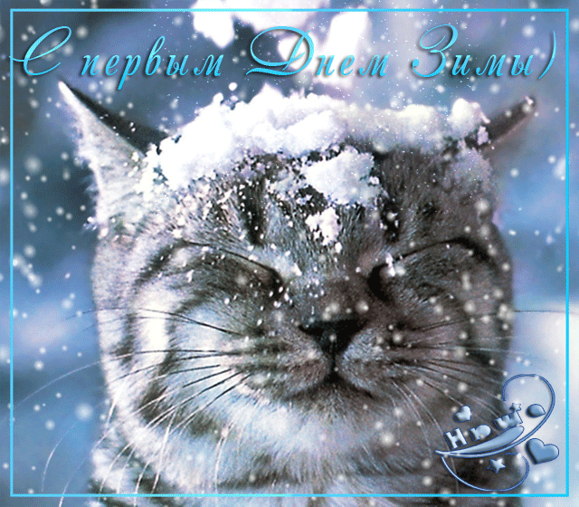 С прекрасным, первым днём зимы!~Анимационные блестящие открытки GIF