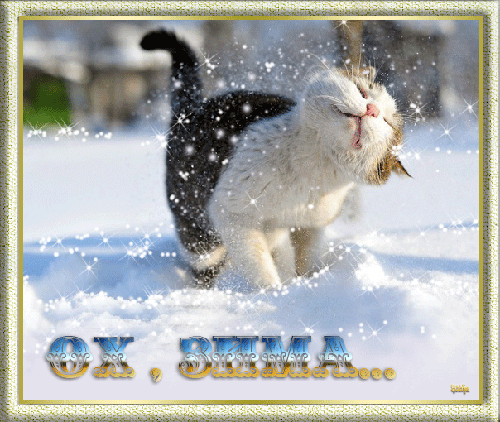 Ох, Зима!~Анимационные блестящие открытки GIF