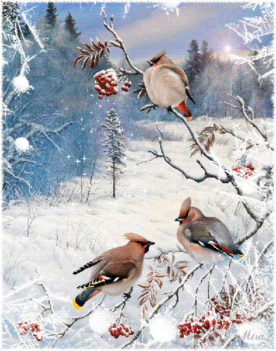 Свиристели в зимнем лесу~Анимационные блестящие открытки GIF