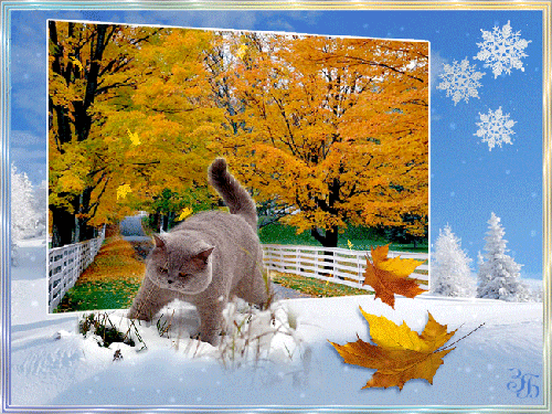Наступление зимы~Анимационные блестящие открытки GIF