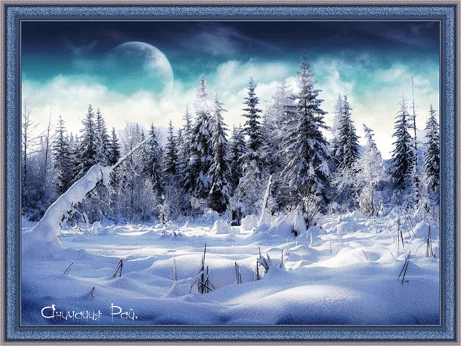 Зимний лес~Анимационные блестящие открытки GIF